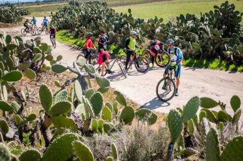 Excursionistas en bicicleta