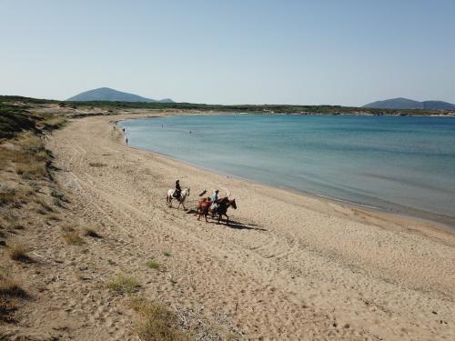 Foto panoramica escursione a cavallo nella spiaggia di Porto Ferro