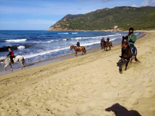 Escursione a cavallo nella Spiaggia di Porto Ferro