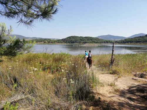 Escursione a cavallo nel territorio del Lago Baratz