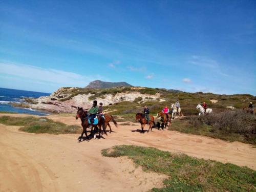 Escursione a cavallo nel territorio del Lago Baratz