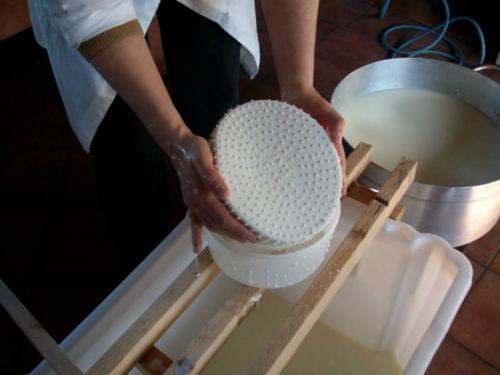 Preparazione della ricotta in un'azienda a Bitti