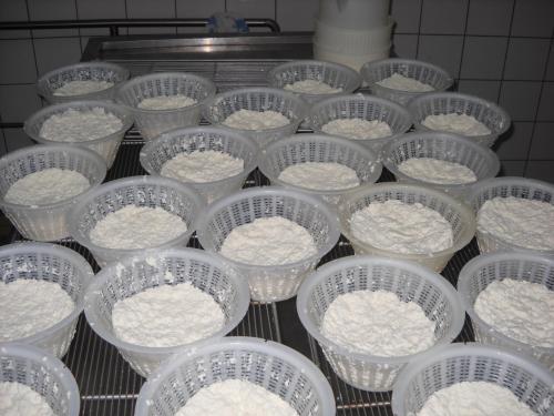 <p>Preparación de ricotta en una empresa en Bitti</p>