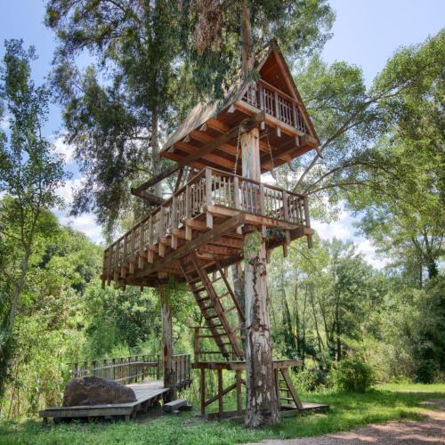 Casa sull'albero unica in Italia ad Allai