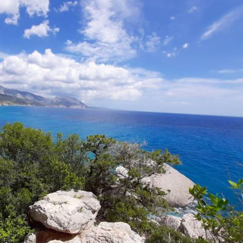 Between land and sea in the Gulf of Orosei