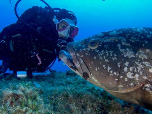 Ragazza con pesce