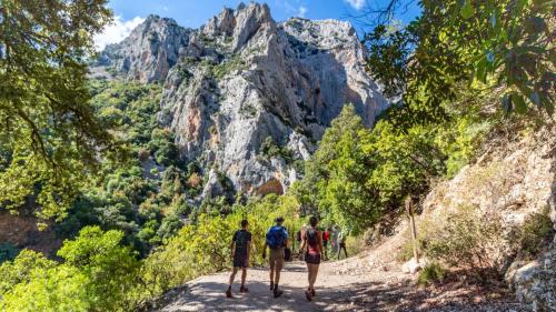 Three hikers walk on the trail to Gorropu canyon