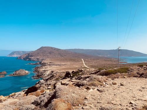 Isola incontaminata dell'Asinara