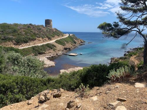Asinara Meer und Natur