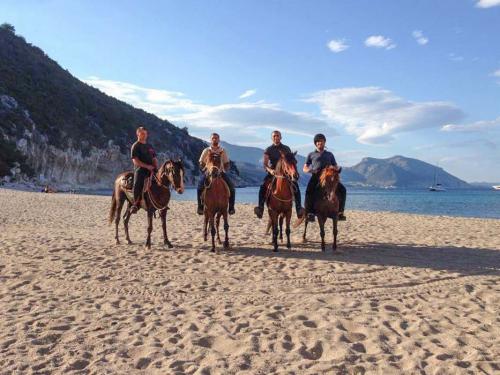 Cavalli in spiaggia