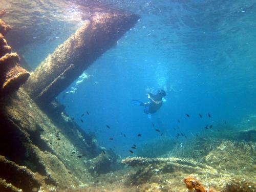 Escursione di snorkeling e relitti sott'acqua