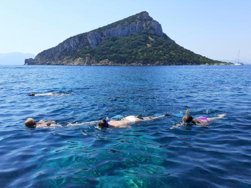 Wanderer schwimmen während des Ausfluges im Golf von Olbia