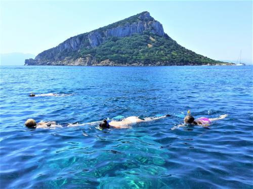 <p>Snorkeling in front of Golfo Aranci in the blue sea</p><p><br></p>