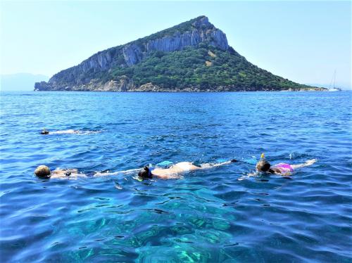 Snorkeling di fronte a Golfo Aranci nel mare blu