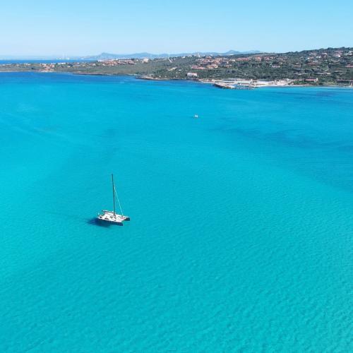 Catamaran in the blue waters of the Asinara Gulf