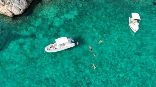 Gommone sosta per l'attività di snorkeling nell'acqua azzurra del Parco di Porto Conte