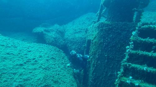 Escursione guidata ad Alghero di apnea