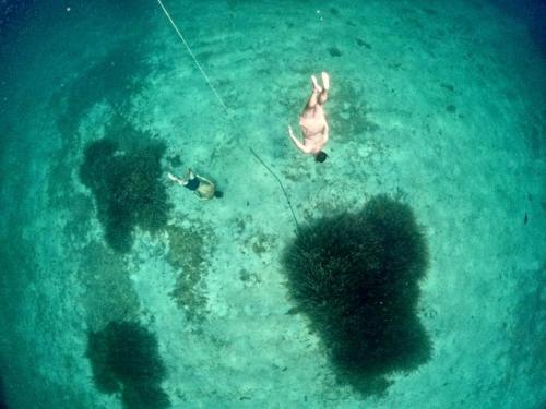 Ragazzo fa apnea durante escursione guidata nel Golfo di Alghero