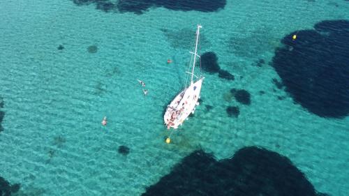 <p>Sailing boat in the Gulf of Asinara in the crystal clear sea for snorkeling</p><p><br></p>