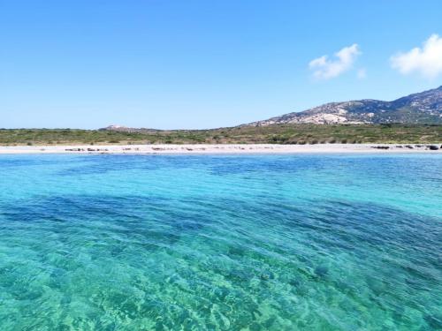 Crystalline sea of Asinara