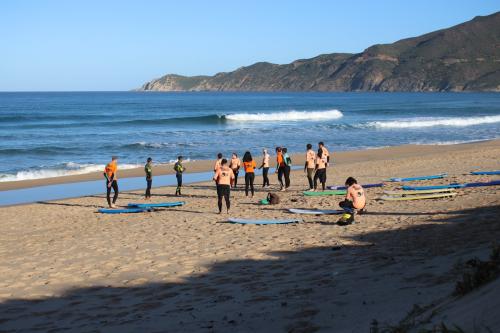Grupo de estudiantes en la playa para la lección de surf.