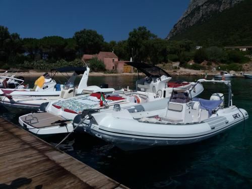 Dinghy in the port