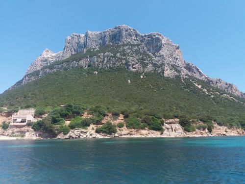 Tavolara Island