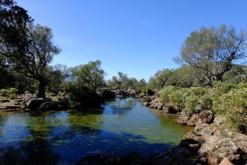 Percorso di trekking tra la natura