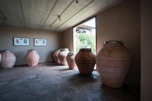 Amphorae for the production of wine as in antiquity