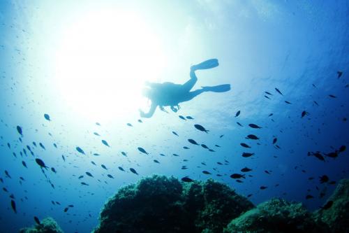 Immersione tra i fondali dell'isola