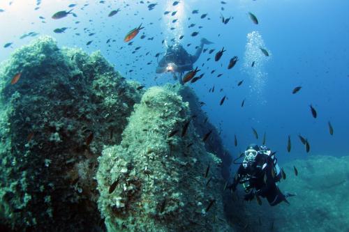 Buceo entre el fondo marino y los peces de la isla