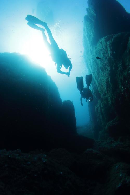 Immersione tra i fondali dell'isola