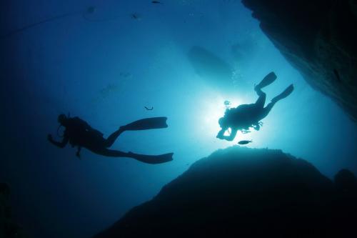 Immersione tra i fondali dell'isola