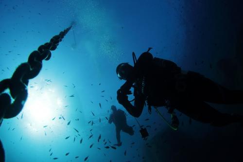 Immersione tra i fondali dell'isola