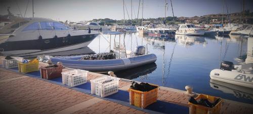 Inflatable boat in the Marina of Puntaldia