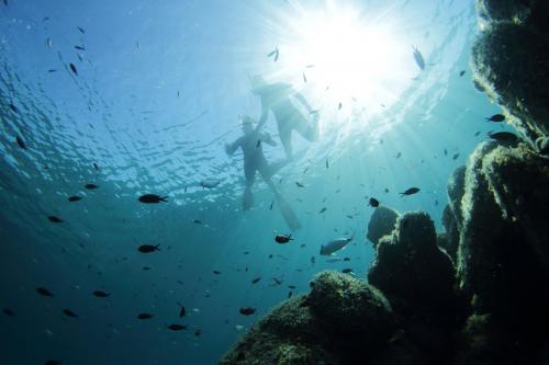 Snorkeling at the Molara pools