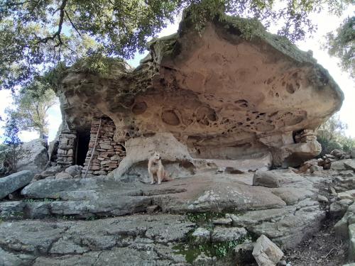 Rocas particulares en Villaputzu con perro