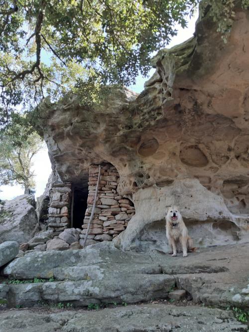 Rocas particulares en Villaputzu con perro