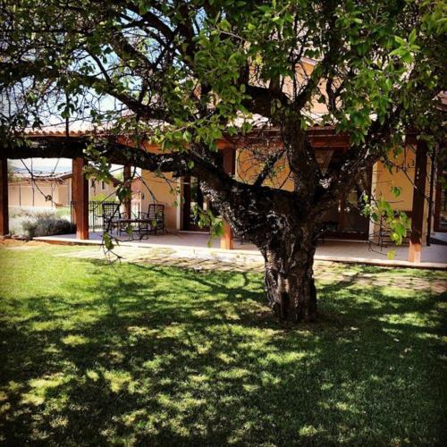 Green lawn at the entrance to the spa