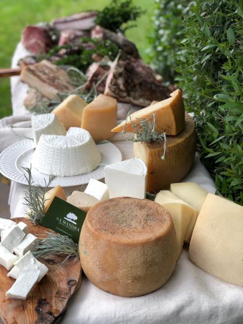 Herstellung von Käse und Ricotta