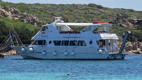 Motorship in the azure waters of the La Maddalena Archipelago