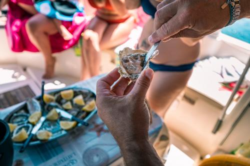 Austern als Aperitif auf einem Segelboot im Golf von Asinara