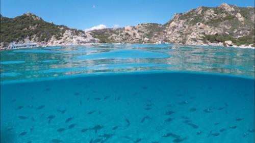 Blue sea of the La Maddalena Archipelago