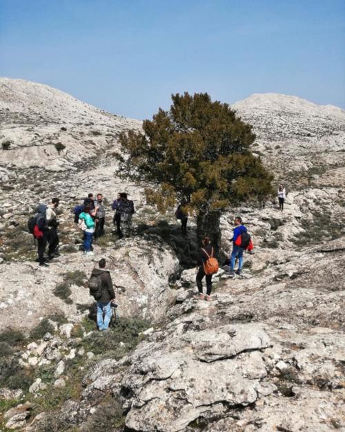 Gruppo di escursionisti con guida