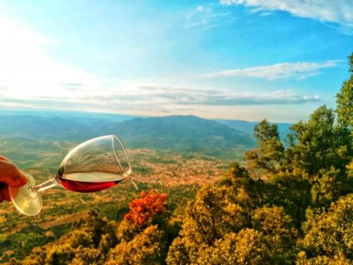Copa de vino tinto y panorama