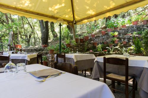 Tables for lunch set up in the open space among nature