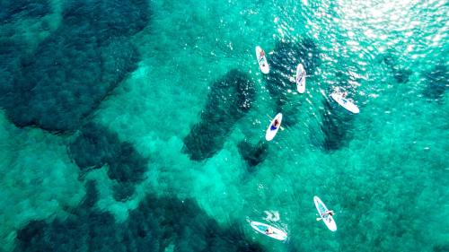 Foto drone escursione in SUP  San Teodoro
