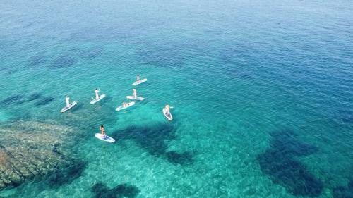 Escursione in SUP nella costa di San Teodoro