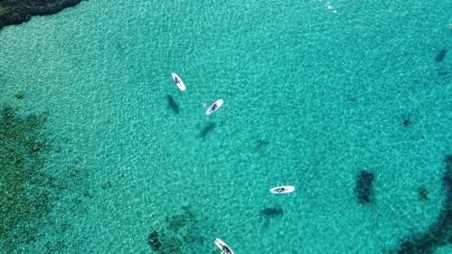 Foto drone escursione SUP Golfo Aranci