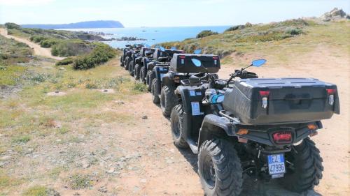 Quad per escursione con vista mare a Santa Teresa Gallura